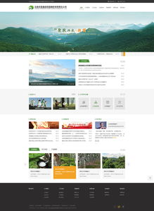 奥远科技 云南昆明网站建设与网络服务专家